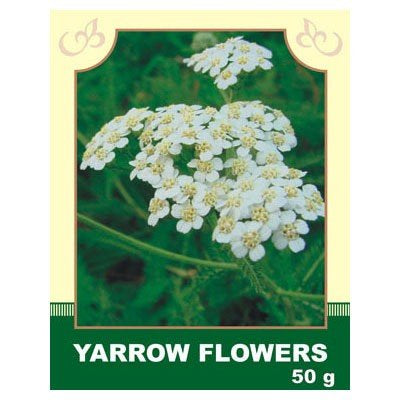 Yarrow Flowers