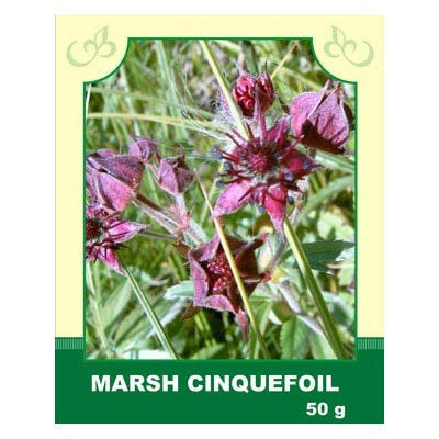 Marsh Cinquefoil