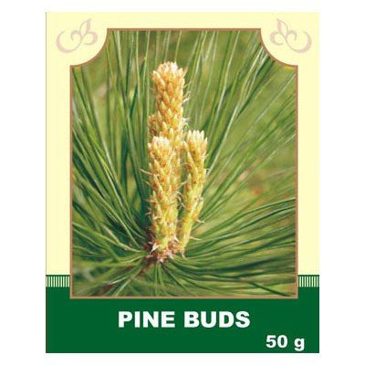 Pine Buds