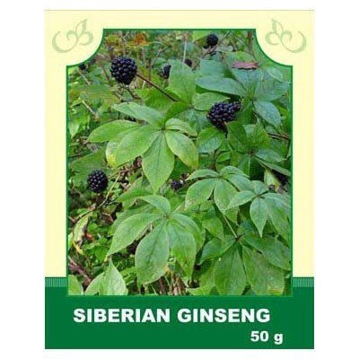 Siberian Ginseng