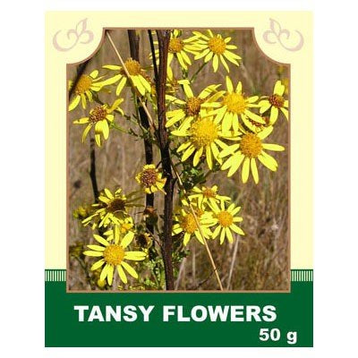 Tansy Flowers