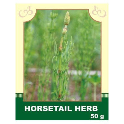 Horsetail Grass