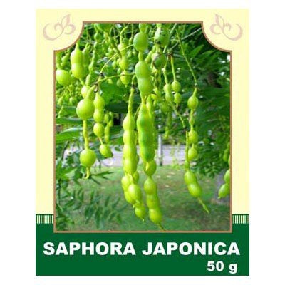 Japanese Saphora