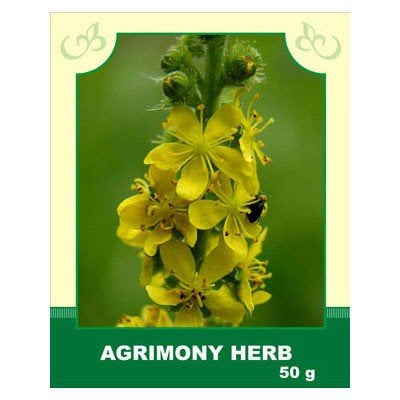 Common Agrimony