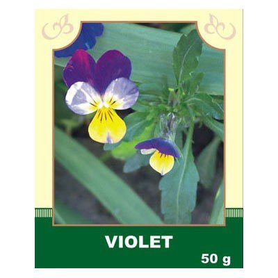 Viola tricolor